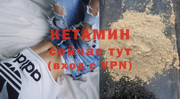 гидра Новозыбков
